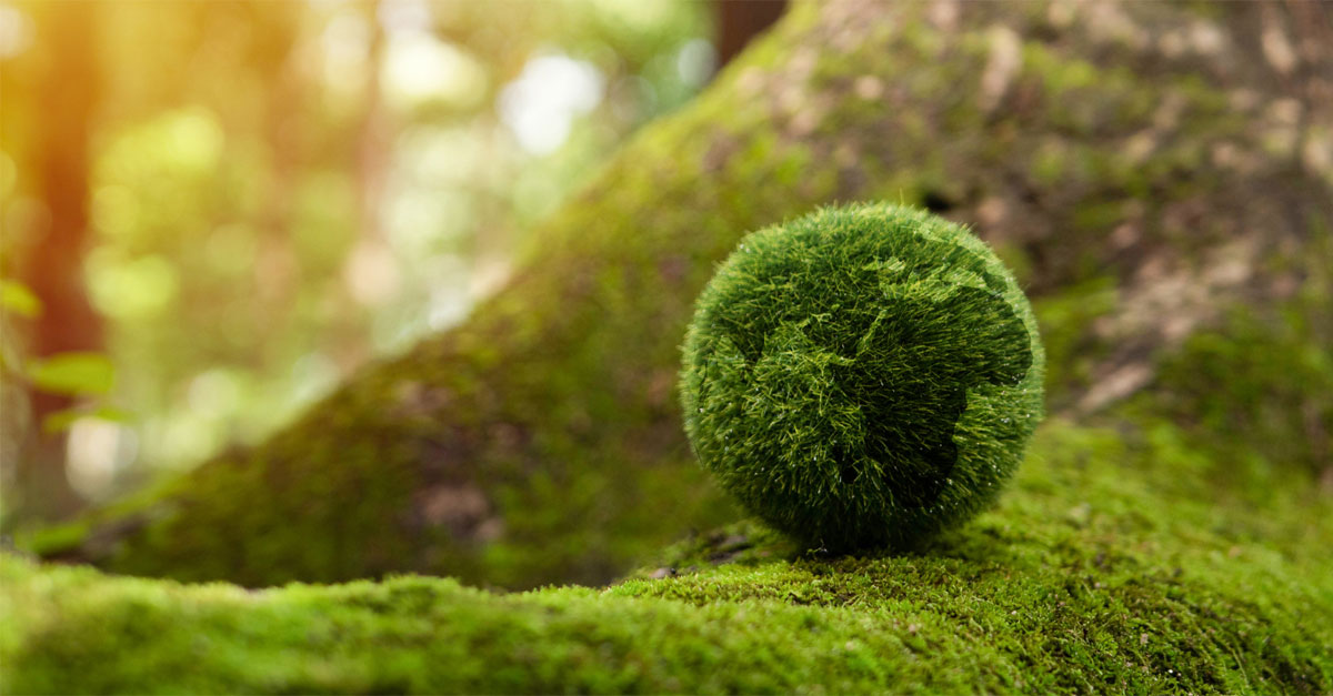 Net Zero Building Adoption : Research Report